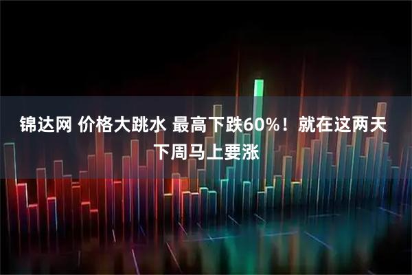 锦达网 价格大跳水 最高下跌60%！就在这两天 下周马上要涨