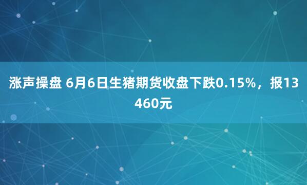 涨声操盘 6月6日生猪期货收盘下跌0.15%，报13460元