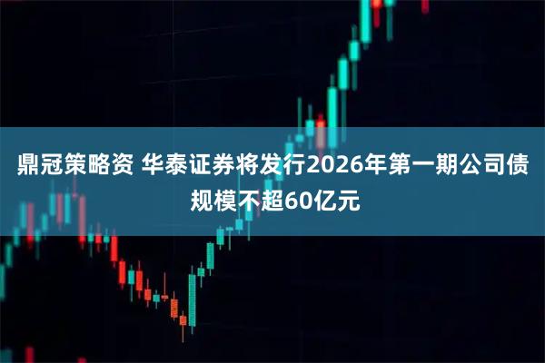 鼎冠策略资 华泰证券将发行2026年第一期公司债 规模不超60亿元