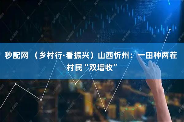秒配网 （乡村行·看振兴）山西忻州：一田种两茬 村民“双增收”